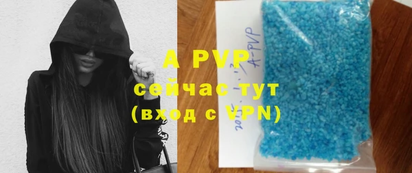 a pvp Алзамай