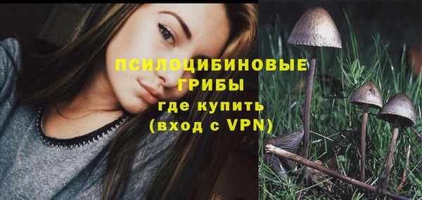 таблы Алексин