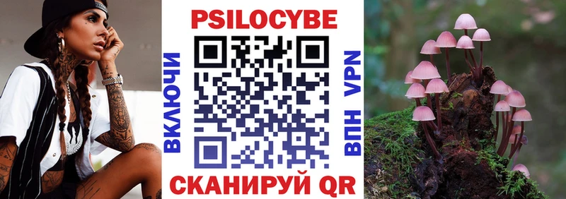 дарнет шоп  Берёзовский  Псилоцибиновые грибы прущие грибы 